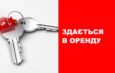 Оренда нежитлових приміщень у Ніжині та Носівці