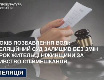 9 років позбавлення волі: апеляційний суд залишив без змін вирок жительці Ніжинщини за вбивство співмешканця