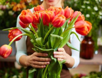 Традиції чи зміни: як ніжинці ставляться до 8 березня
