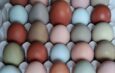 Ціни на яйця шокують!
