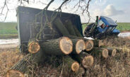 На Ніжинщині незаконно вирубали тополі: збитки – понад 240 тисяч гривень