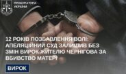 12 років позбавлення волі: апеляційний суд залишив без змін вирок жителю Чернігова за вбивство матері
