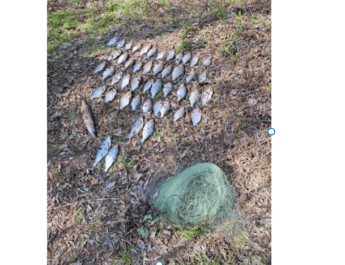 На Чернігівщині викрито браконьєра, який незаконно виловив риби майже на 63 тис.грн