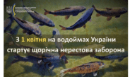 З 1 квітня на водоймах України стартує щорічна нерестова заборона