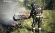 Трагедія на Ніжинщині: під час пожежі сухої трави загинула жінка