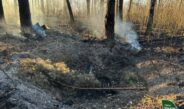 На Чернігівщині зафіксовано лісові пожежі через атаки дронів