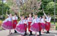 «Козацькому роду нема переводу»: у Ніжині відзначили День Європи яскравою вокально-хореографічною композицією