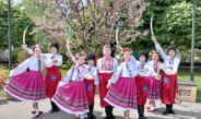 «Козацькому роду нема переводу»: у Ніжині відзначили День Європи яскравою вокально-хореографічною композицією