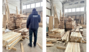 Незаконно продавали деревину за кордон: судитимуть засновника товариства та його спільника