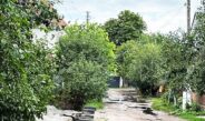 «Зелені тунелі» приватного сектору: окраса міста  чи небезпека?