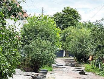 «Зелені тунелі» приватного сектору: окраса міста  чи небезпека?