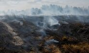 На Ніжинщині не вщухають пожежі торфу