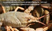 ЗАВЕРШУЄТЬСЯ ЗАБОРОНА НА ВИЛОВ РАКІВ: ПРО ЩО ВАЖЛИВО ПАМ’ЯТАТИ РИБАЛКАМ