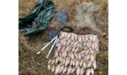 На Чернігівщині викрито браконьєра, який незаконно виловив риби на 113832,00 грн.