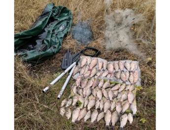 На Чернігівщині викрито браконьєра, який незаконно виловив риби на 113832,00 грн.
