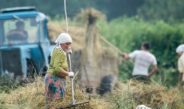 Міжнародний день сільських жінок: визнання сили, праці та незламності