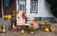 Помаранчеві історії: від грядки до столу – все про гарбуз
