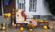 Помаранчеві історії: від грядки до столу – все про гарбуз